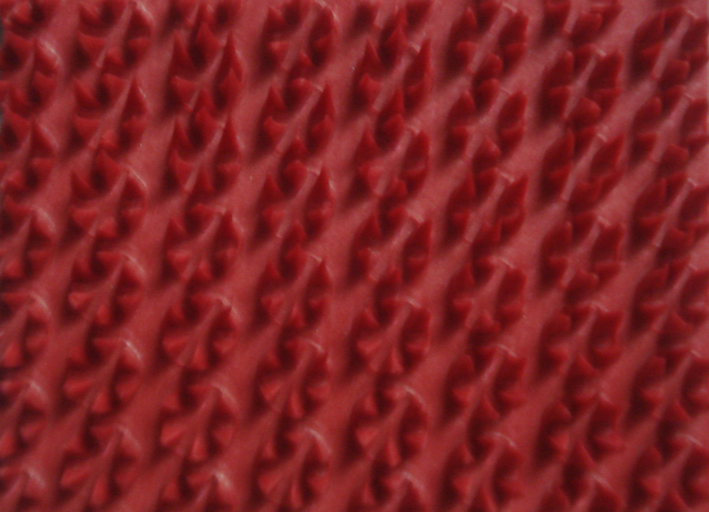 Thảm nhựa RED 45 X70CM